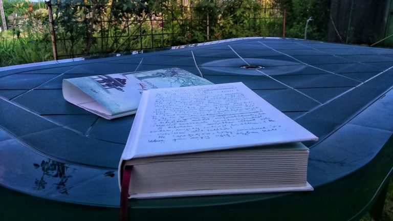 Hétköznapi impressziók – kép és betű: Szamárfül