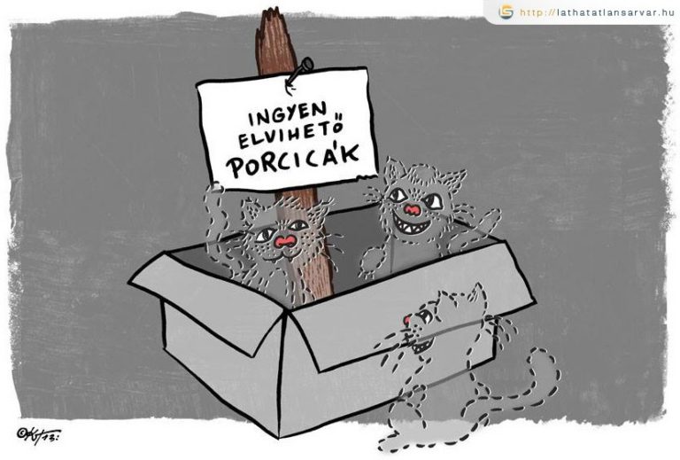 Vanbaj – Fülzsírcsempészek, Avagy A Porcica Titka