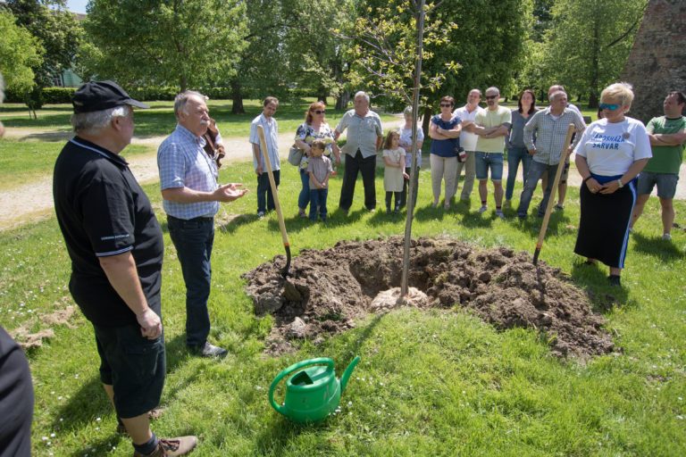 1:50 – Tölgyültetés is volt május 1-jén