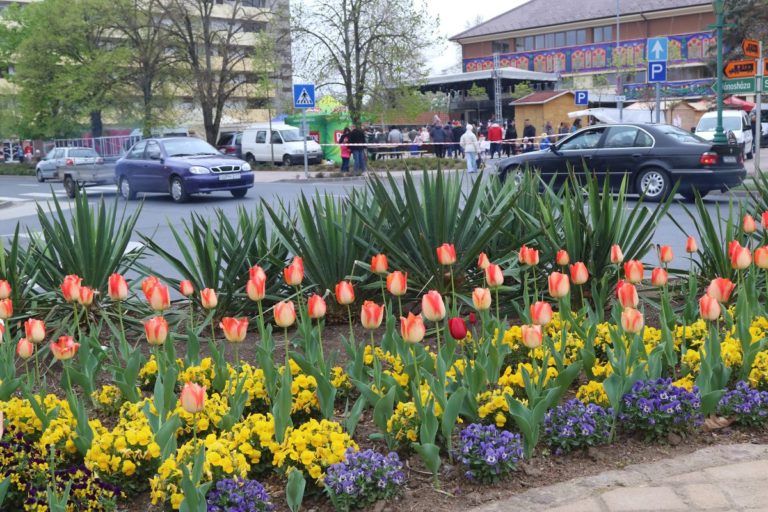 Tulipános város