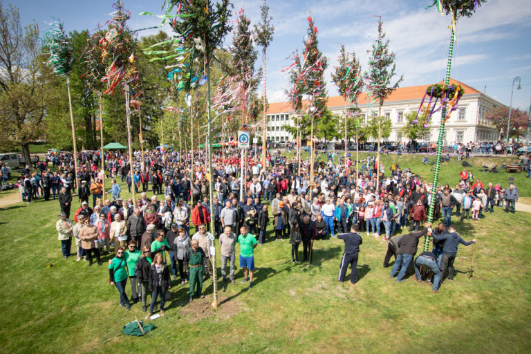 Idén is májusfákat állítottak fel a Nádasdy-vár parkjában