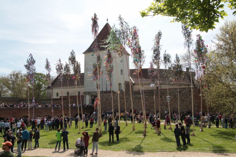 23 májusfát állítottak a parkban