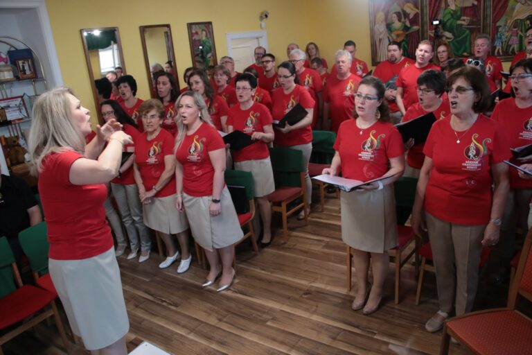 Tíz éves a SOK