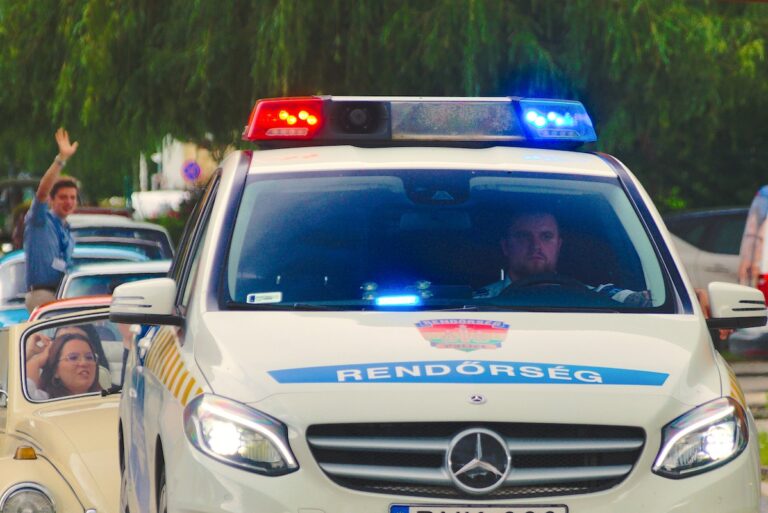 Veterán Piknik felvonulás: az összes résztvevő