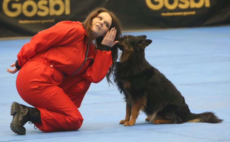 FCI Dog Dancing Európa-bajnokság az Arénában – BS